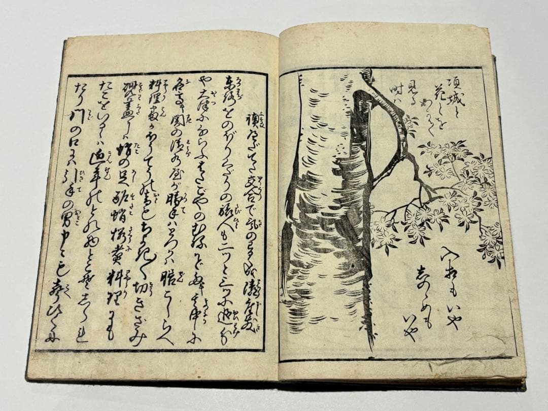 「艶本多満久志戯」喜多川歌麿画3冊|春画 浮世絵 枕絵 べらぼう蔦屋重三郎 蔦重