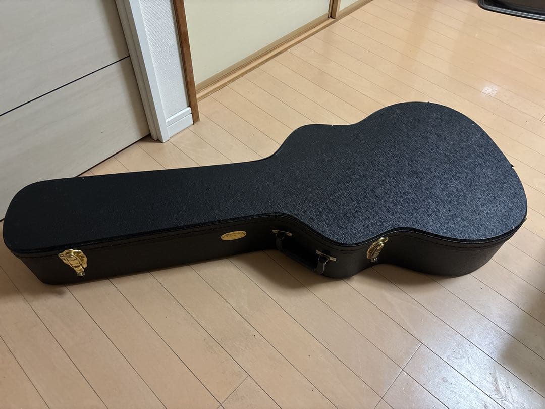 Martin & Co. アコースティックギター GPCPA4 Rosewood