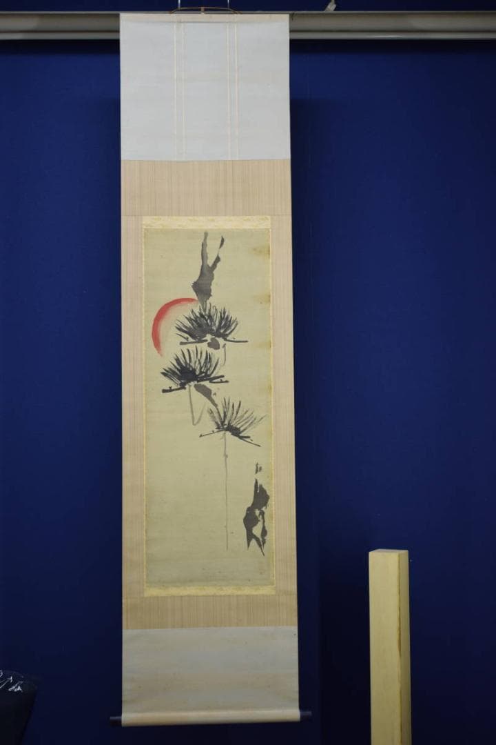 真作/狩野常信/旭日松図/布袋屋掛軸HG-710