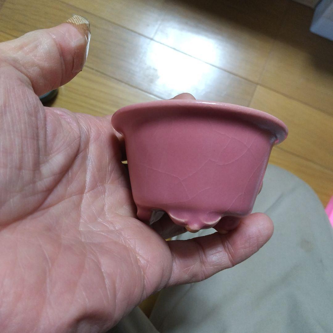 ミニ鉢、盆栽鉢、盆栽小鉢、鉢、植木鉢、山野草鉢、蘭鉢、盆栽