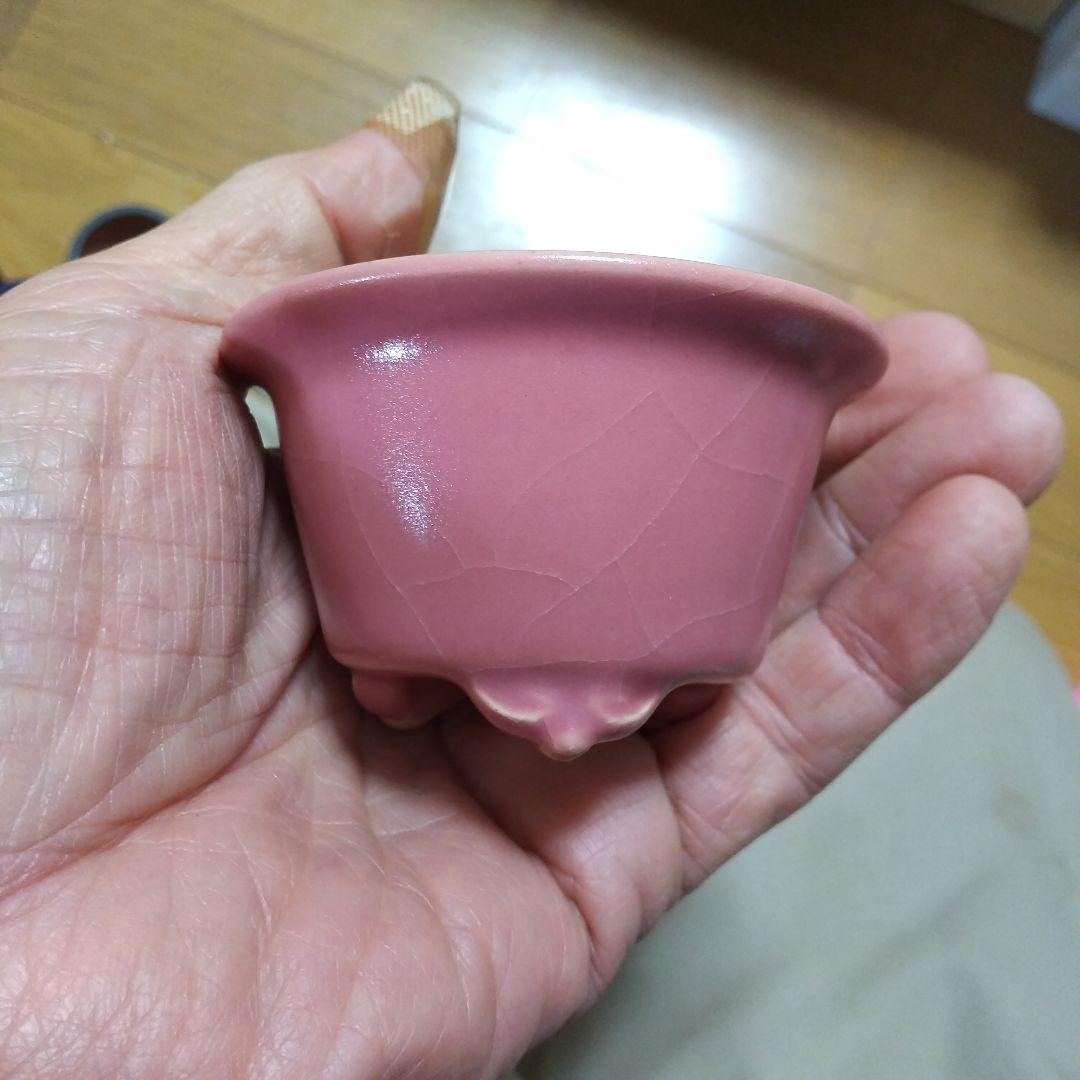 ミニ鉢、盆栽鉢、盆栽小鉢、鉢、植木鉢、山野草鉢、蘭鉢、盆栽