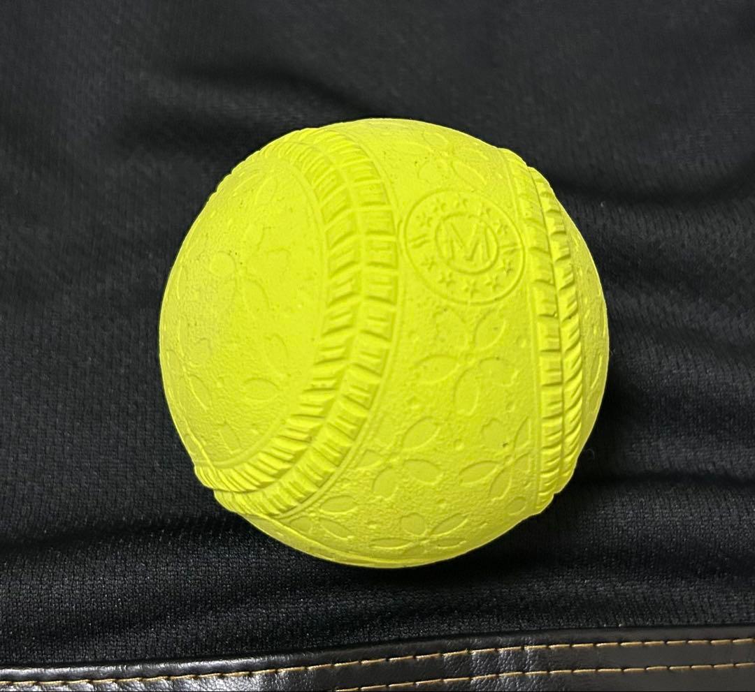 軟式グローブ　ミズノプロ　左利き　投手　お手入れセット