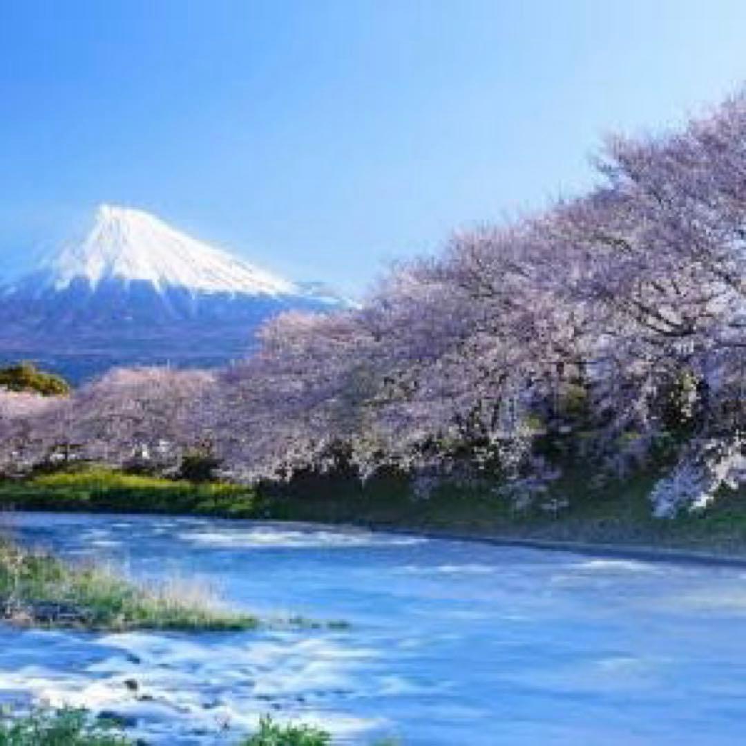 ちーずぐらたん໒꒱.*