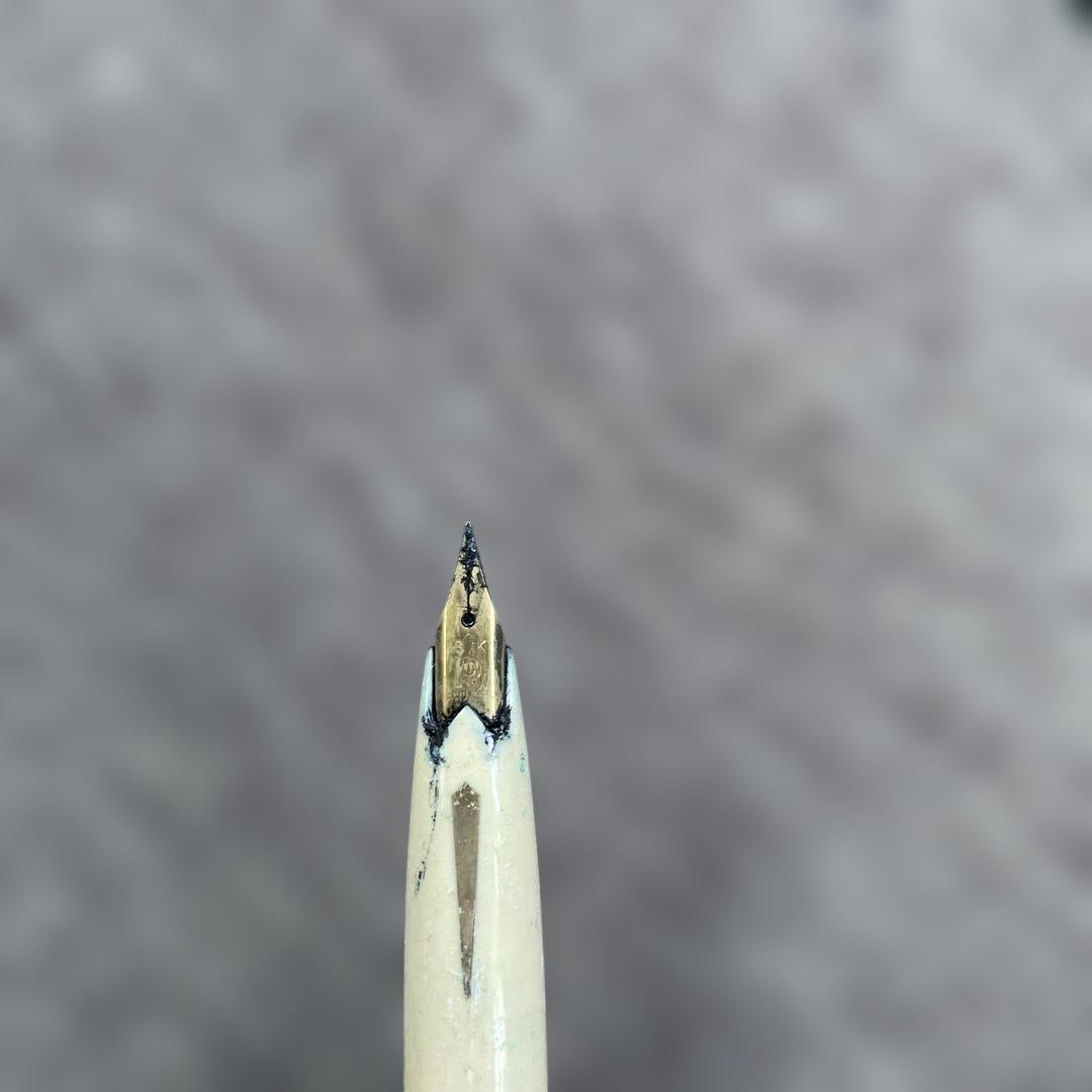 メ*ェ様 PLATINUM プラチナ万年筆 2本セット