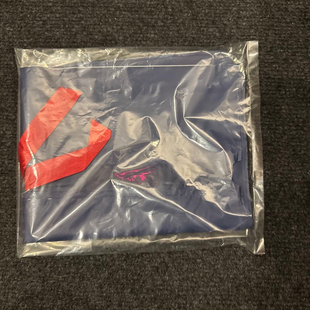 エゴザル　RIKU1 バスケットシューズ