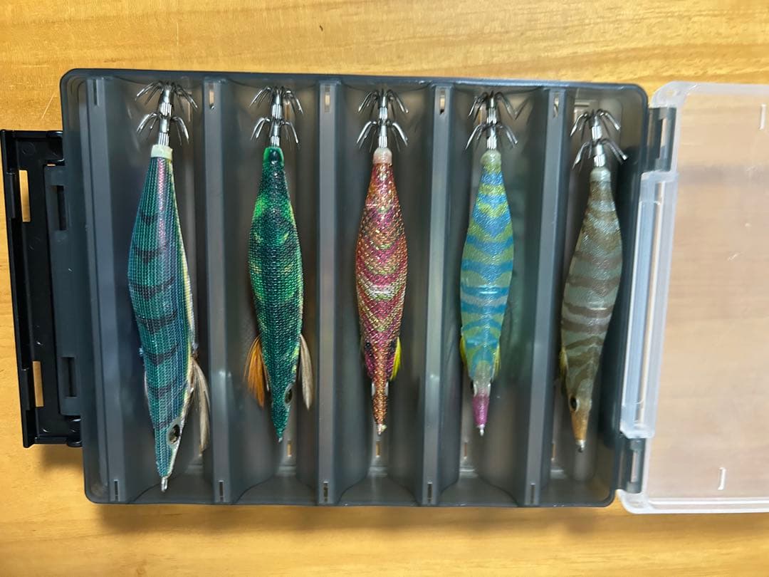 エギ10本セット　ケース付き