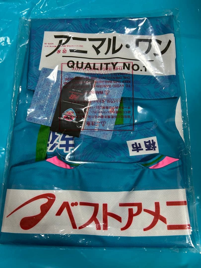 サガン鳥栖　26レプリカ　ユニフォームFP1st S 西澤