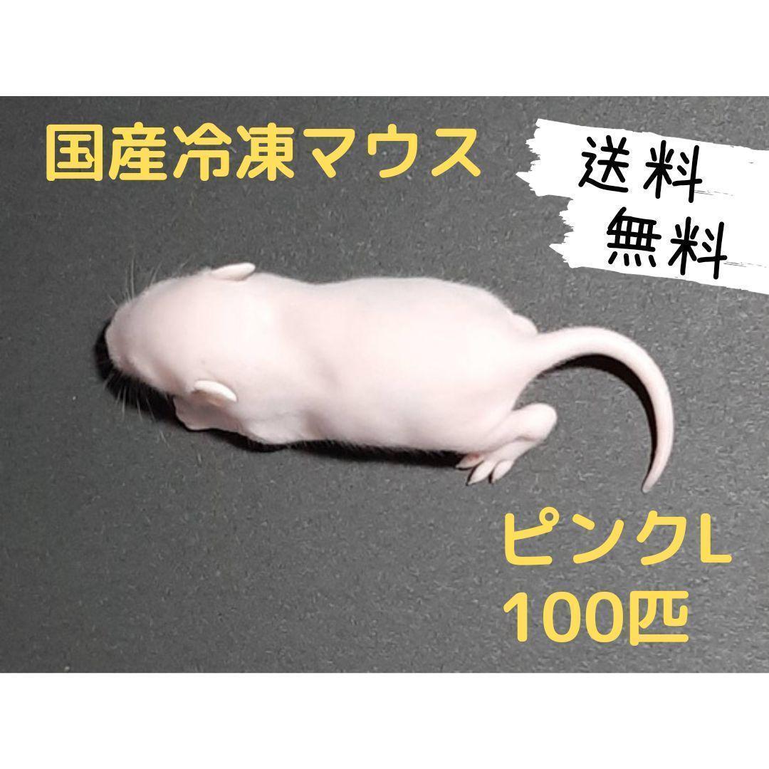 国産冷凍マウス ピンクL 100匹(一部地域発送不可)