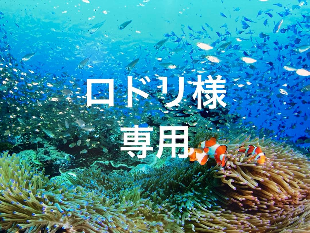 エンビロンCクエンストーナーセラム4 プラスクリームプラス