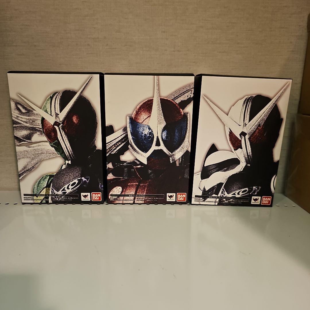 仮面ライダーW 真骨彫