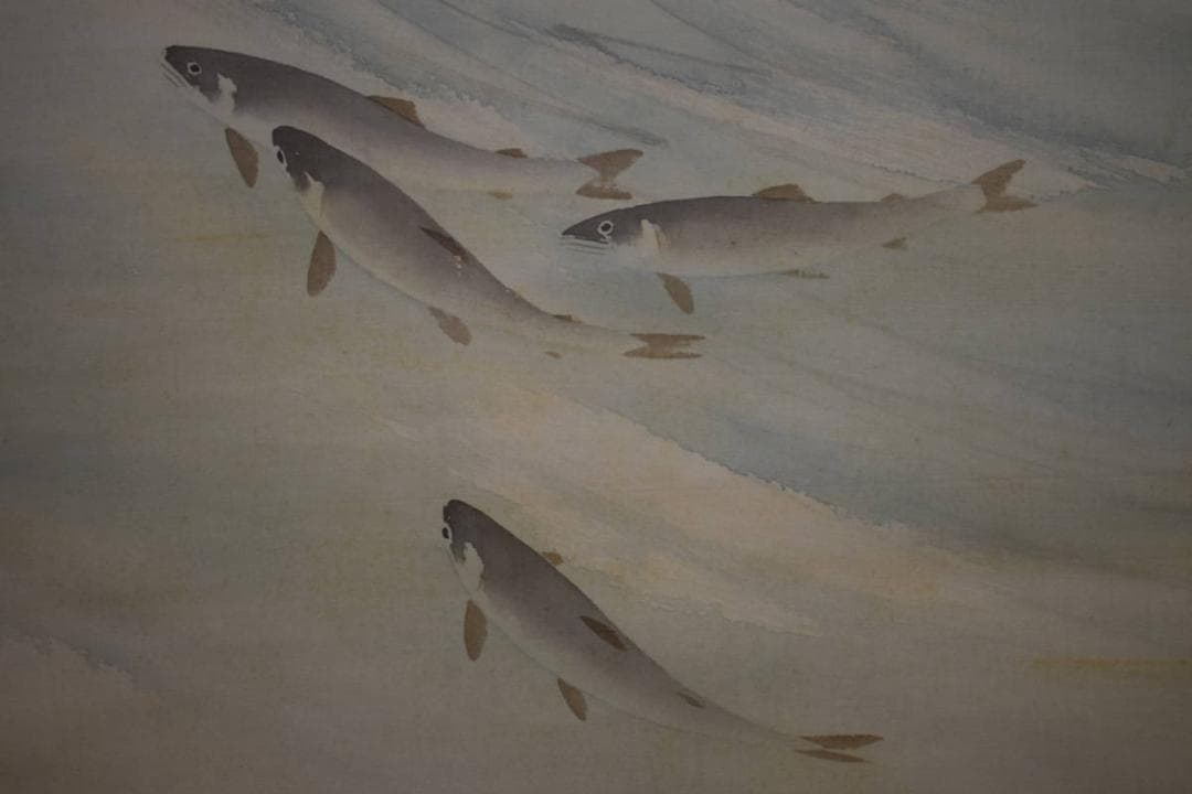 真作/高瀬春暁/清流鮎図/桐共箱付/布袋屋掛軸HG-925