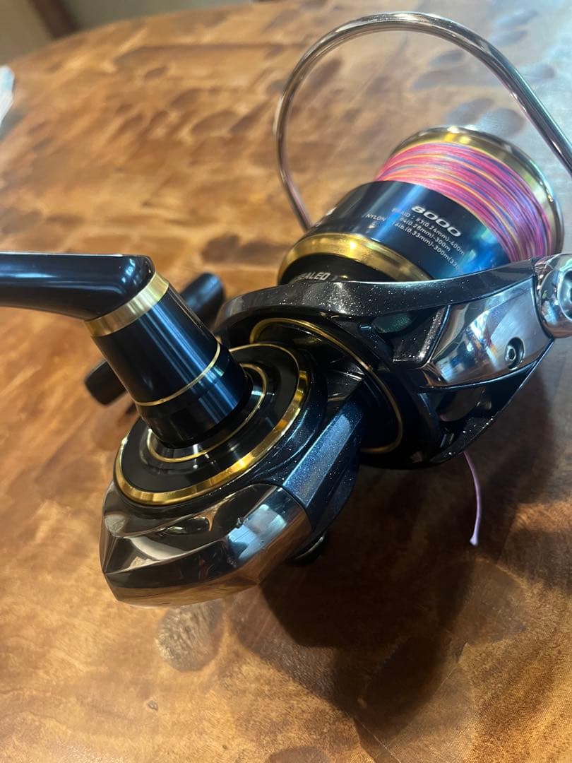 DAIWA SALTIGA ダイワ20ソルティガ8000 H