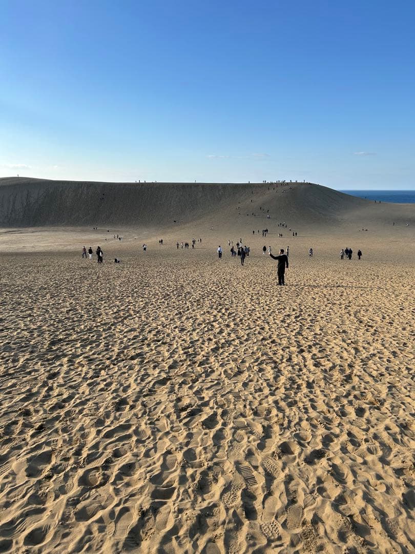 12346577　Hender scheme kinchaku black