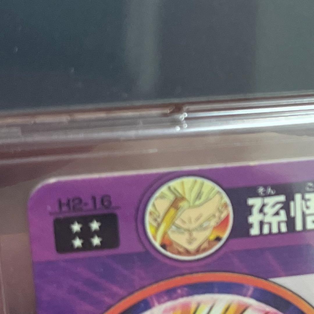 H2-16 孫悟飯:少年期 本家 微細な白かけあり