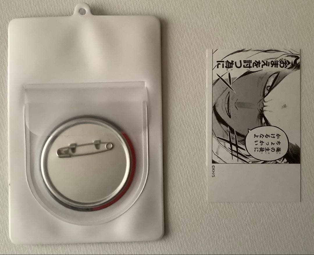 ヒロアカ　相澤消太