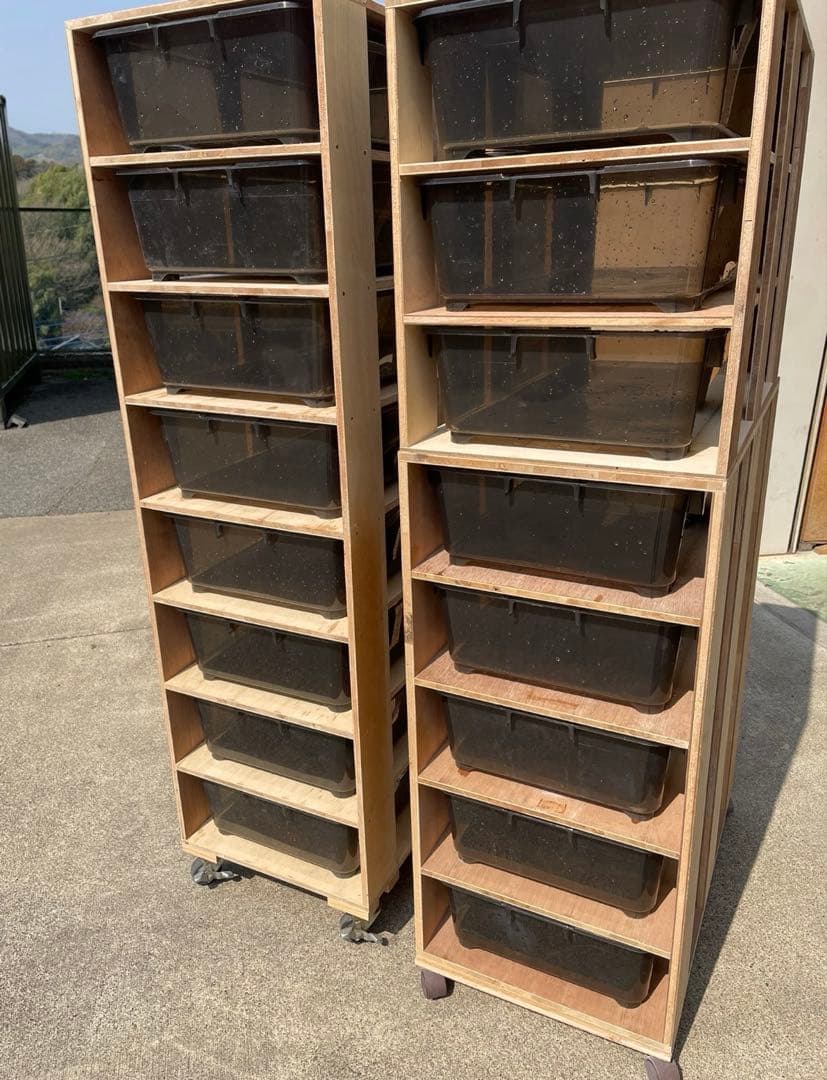 木製多段飼育ケージ 透明トレイ付き