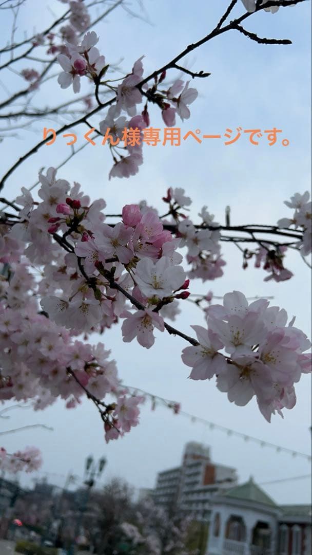 【美品】 POLO RALPH LAUREN ダークブルー ニット