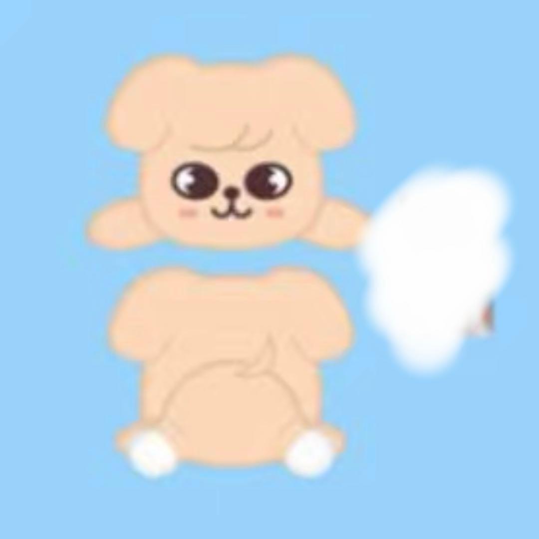 straykids スキズ　celebrate puppym スンミン　メンプロ