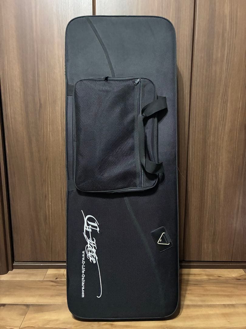 G-Life Guitars DSG Standard ギター