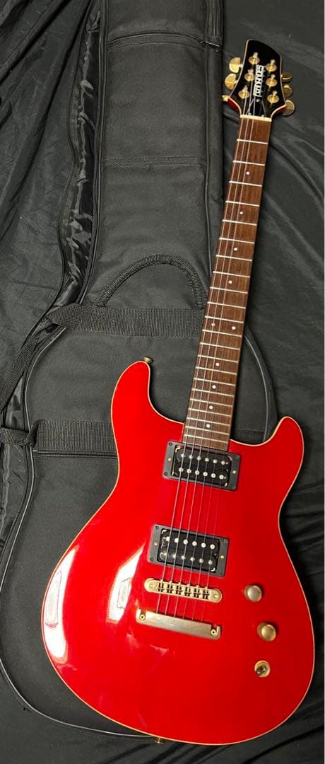 【Fernandes】APG-100