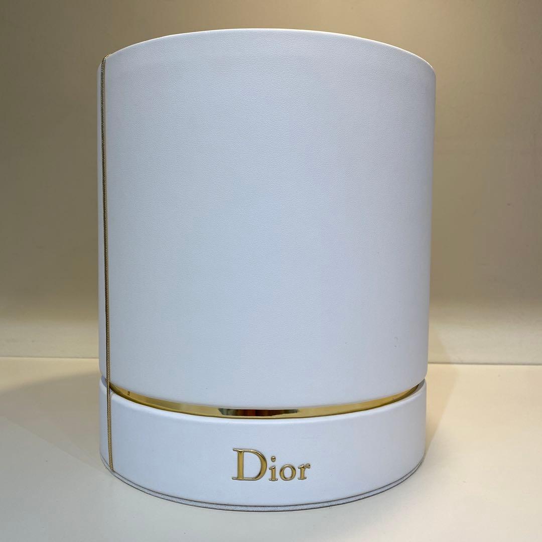 （未開封新品）DIOR オードヴィ　ラキュール　ヴィンテージ 2020 3本
