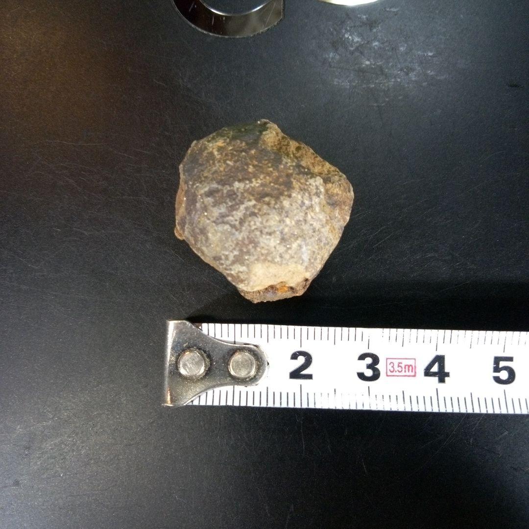 三葉虫　化石　ボリビア産　南アメリカ　trilobite　Bolivia三葉虫③