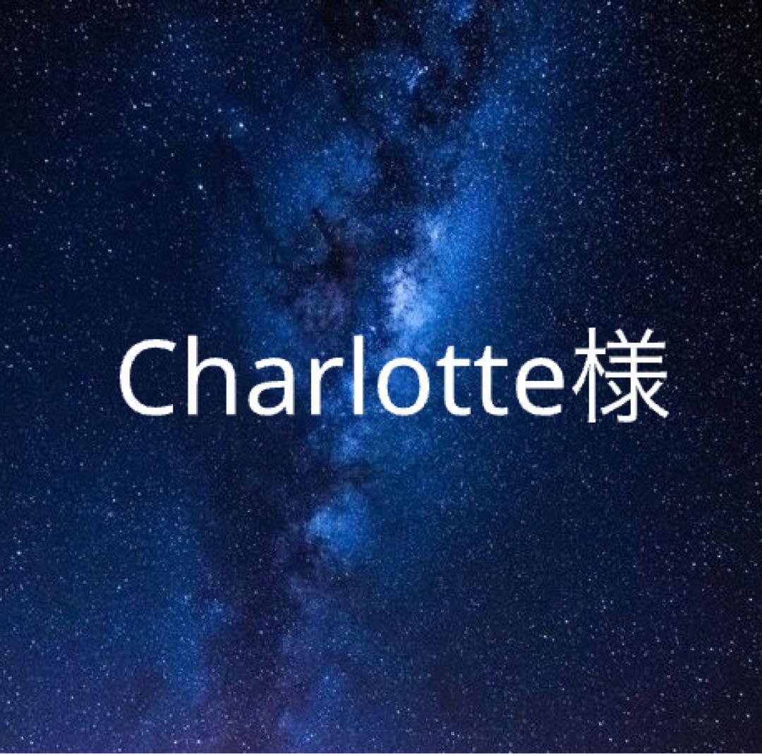 Charlotte様　ヨギボーミニ