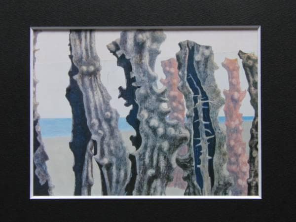 山崎 隆、海浜 67、希少画集画、新品額付、状態良好