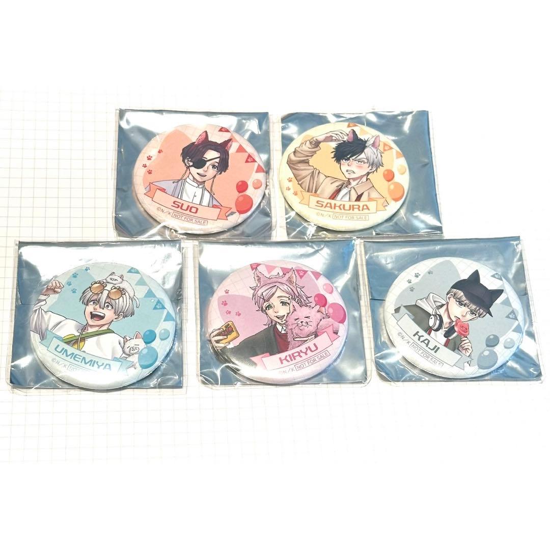 WIND BREAKER ナンジャタウン 缶バッジ　等身　コンプ　5点セット