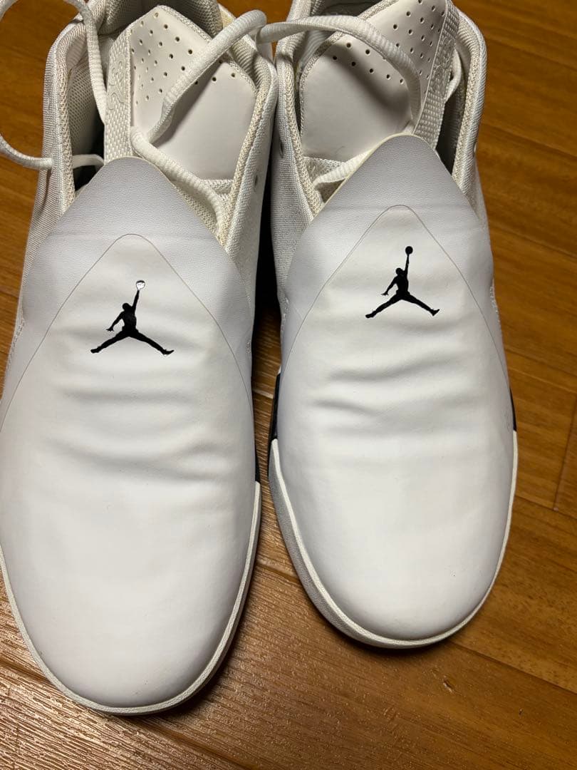 ナイキ ジョーダン ウルトラ フライ 3 28.5cm