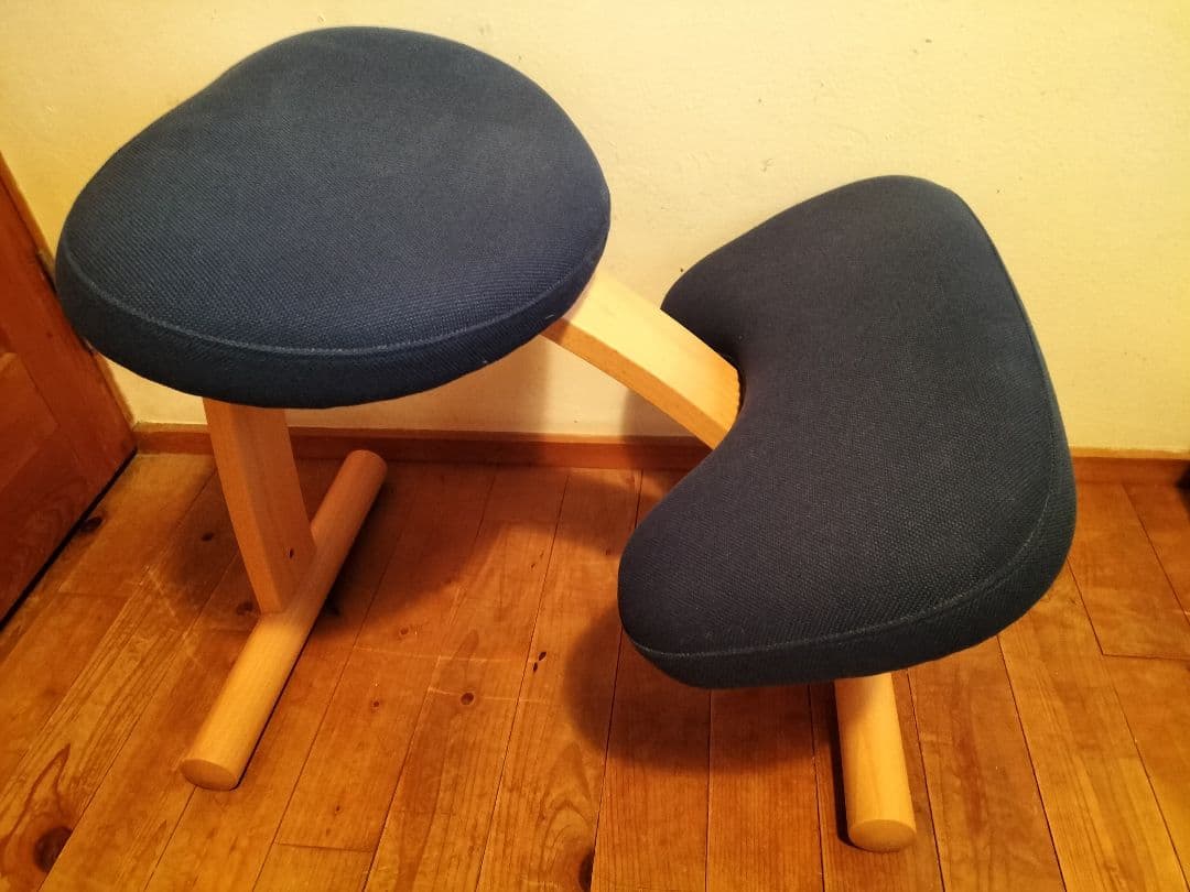 balans Easy 骨盤・姿勢矯正用チェア ネイビー　説明書付属