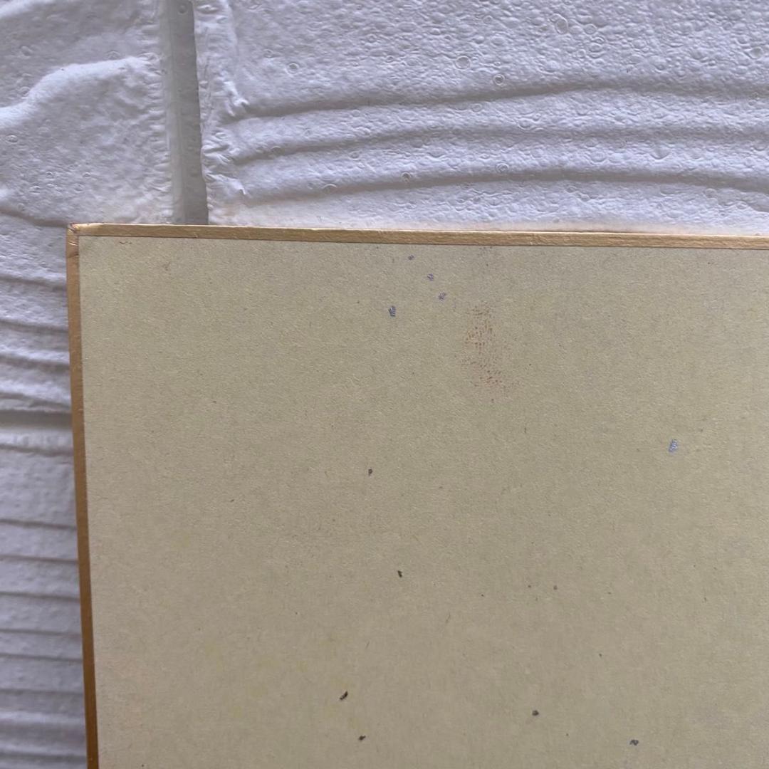 かしもとまなぶ 直筆サイン色紙 ぼくはガリレオ イラスト入り 当選品 コロコロ