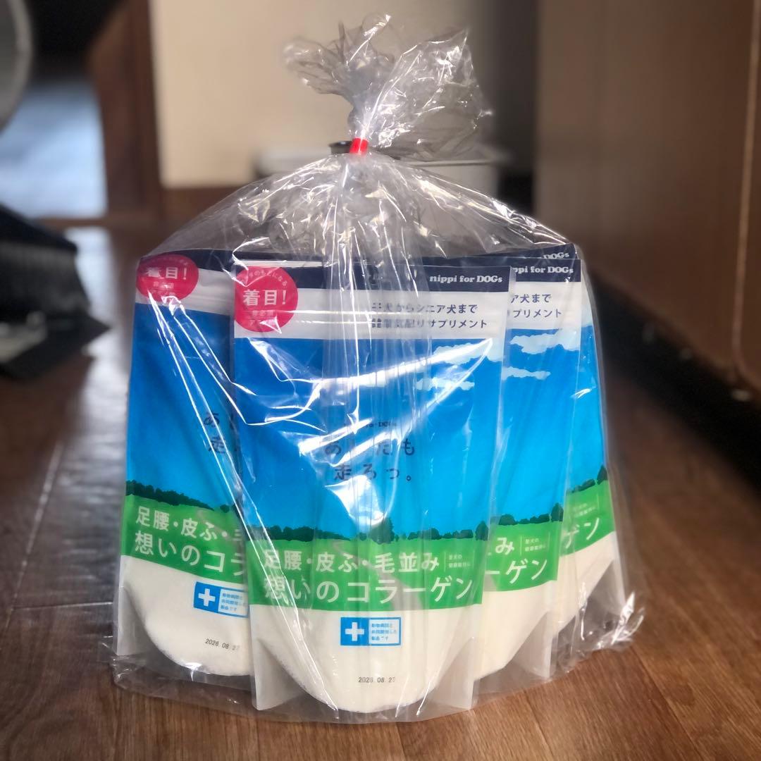 ニッピ あしたも走ろっ。１０袋