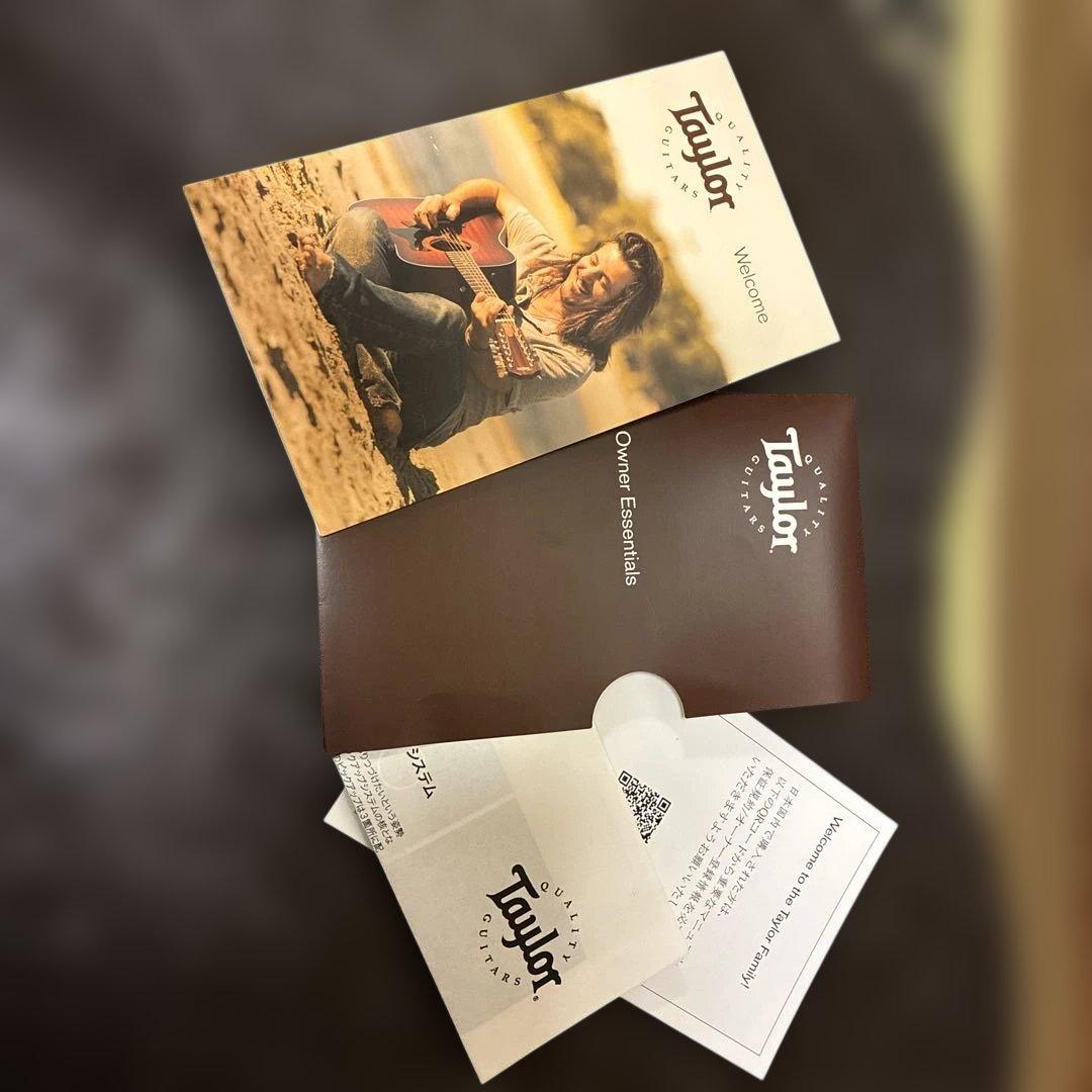 ギター Taylor317e