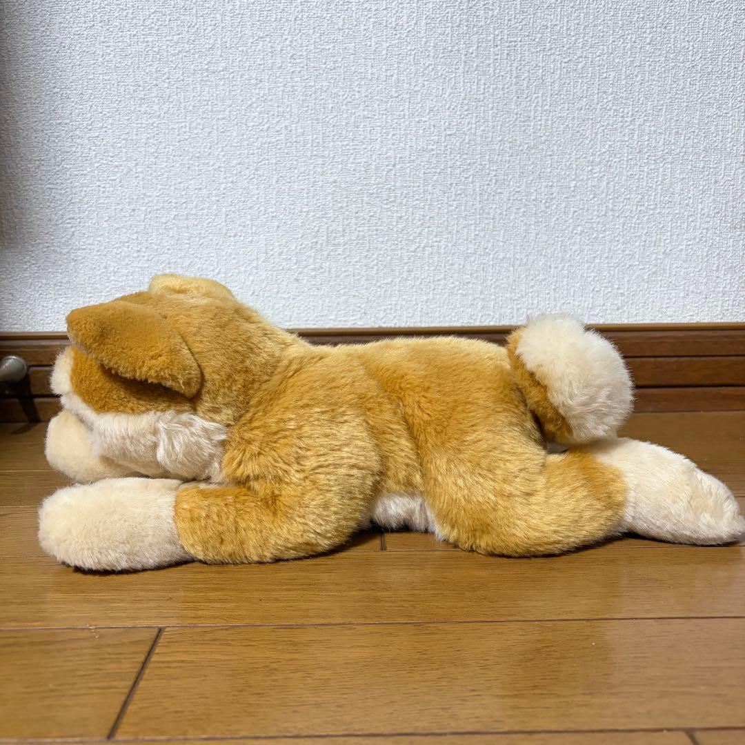 リアルドッグコレクション 柴犬 REGALO レガロ ぬいぐるみ
