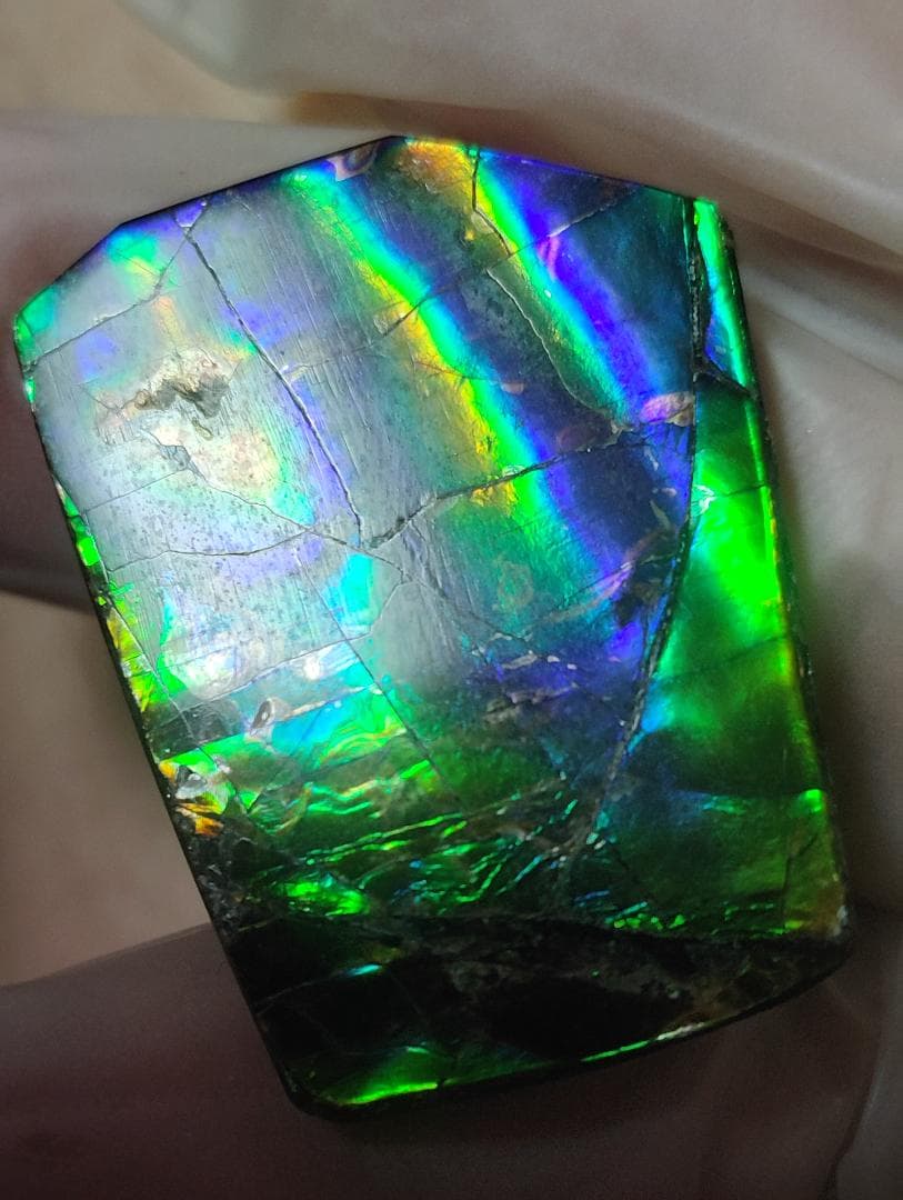 アンモライト　ルース　24-1415 36000