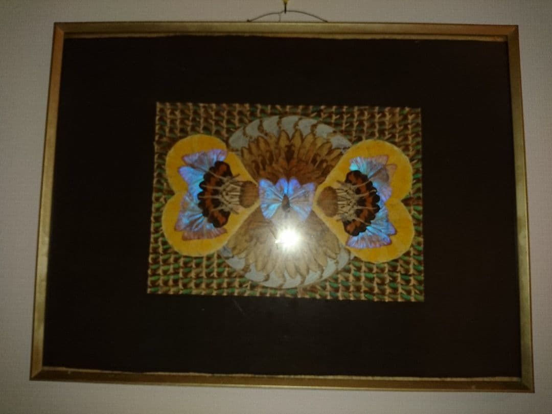 蝶の羽で描かれた絵画