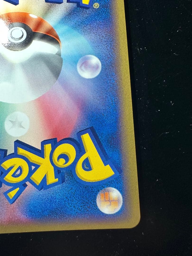 ポケパークのピカチュウ　プレミアムファイル