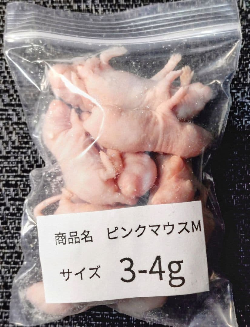 送料無料　冷凍マウスリタイア20匹　ピンクM30匹