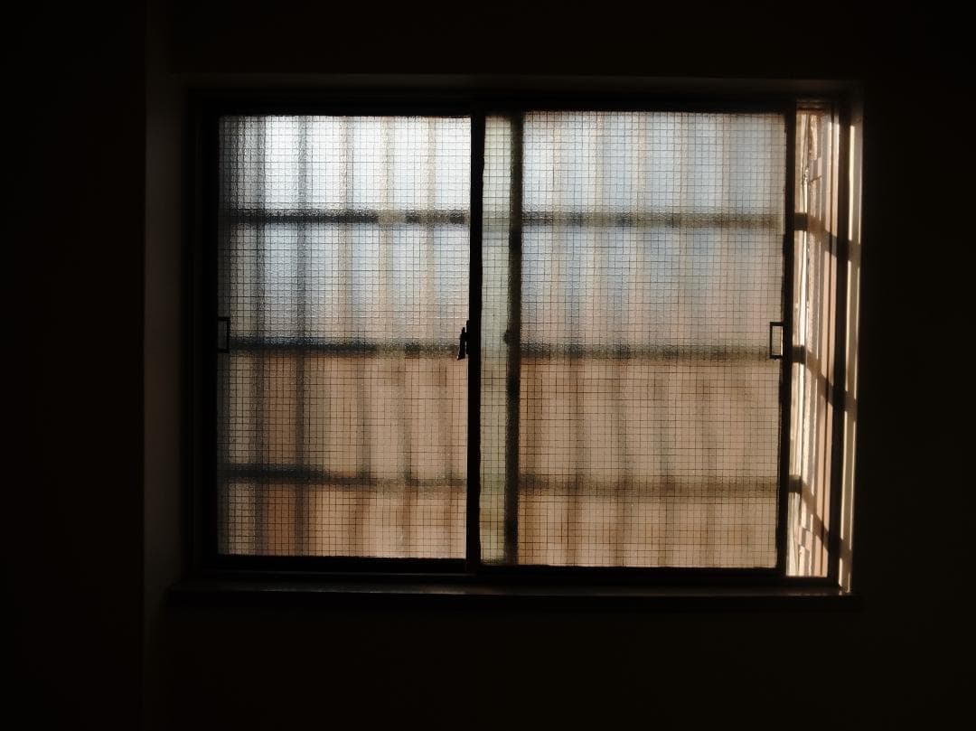 RICOH GR DIGITAL Ⅳ（革ケース・他付属品付）