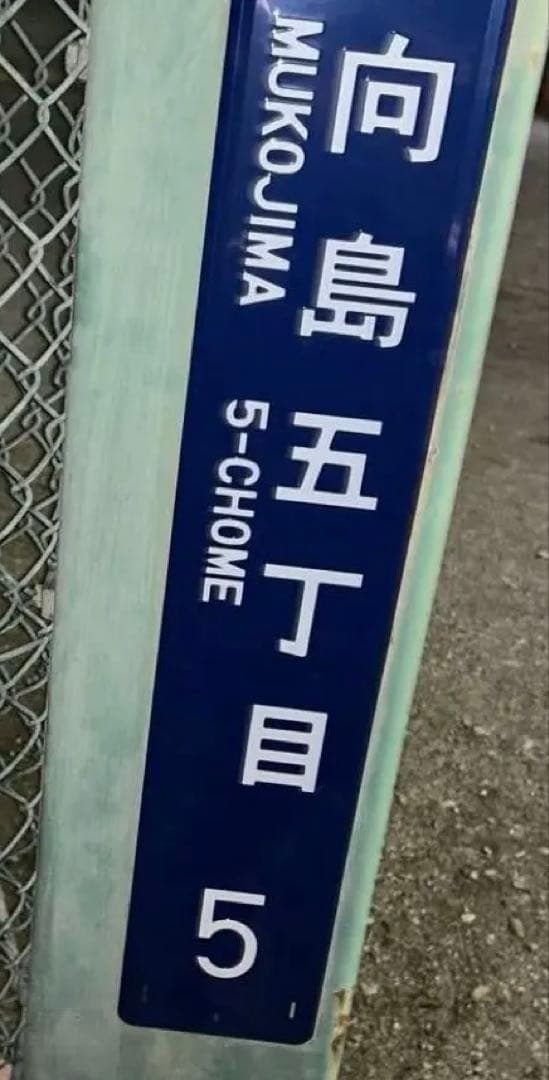 【王選手が育った日本最初の少年野球場】隅田公園少年野球場の石10個セット