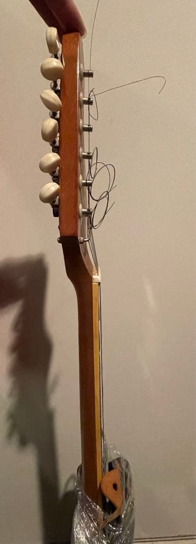 エレキギター　楽器　趣味　機材　コレクション　インテリア　一点もの　年代物