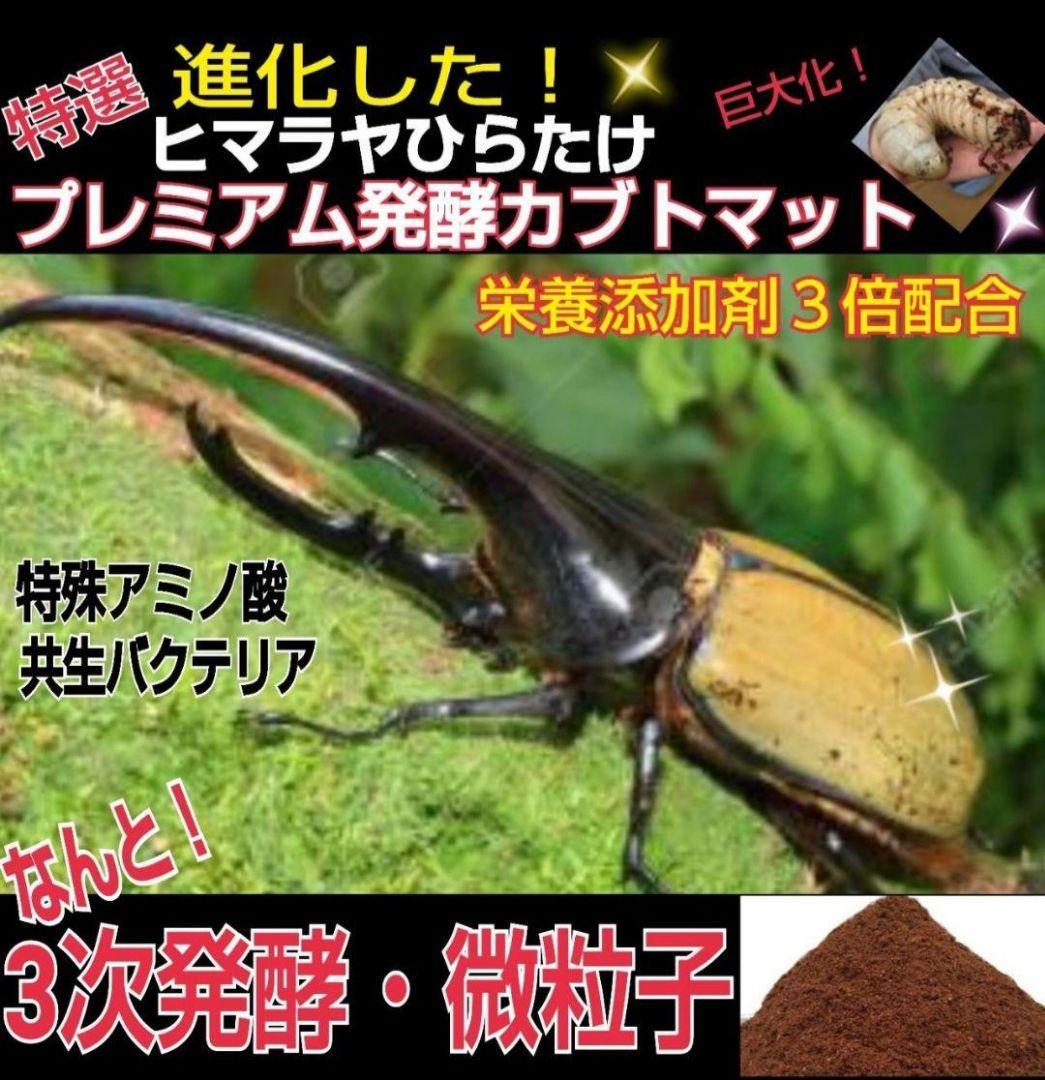ヘラクレス幼虫が大きくなる！プレミアム3次発酵マット【60リットル】産卵にも抜群