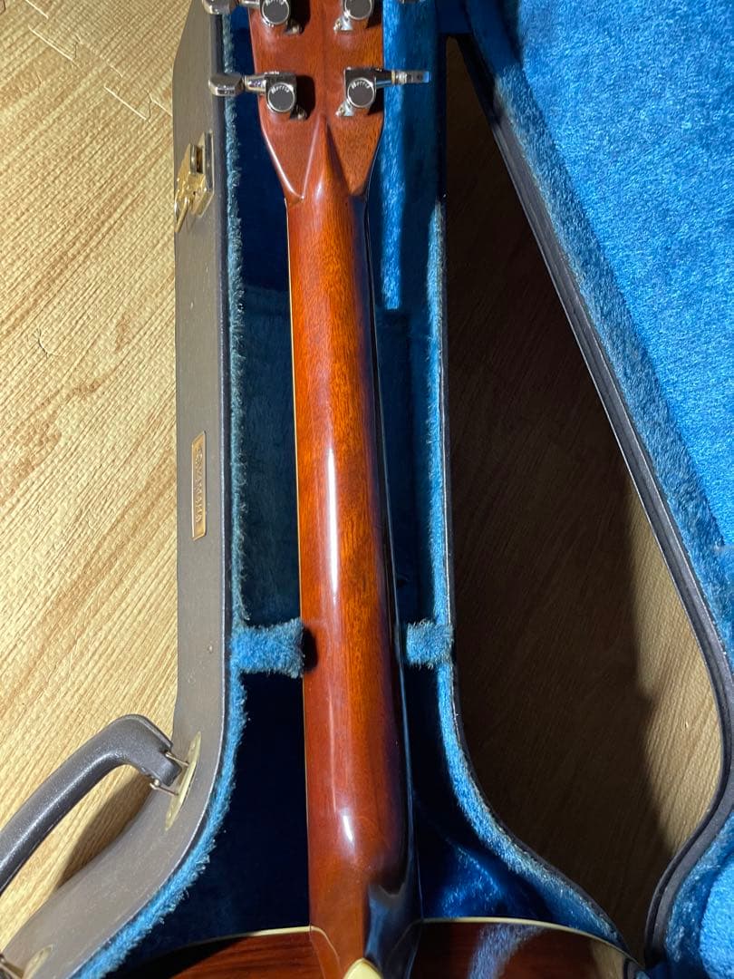 Morris W-60 ハカランダ材 トップ単板