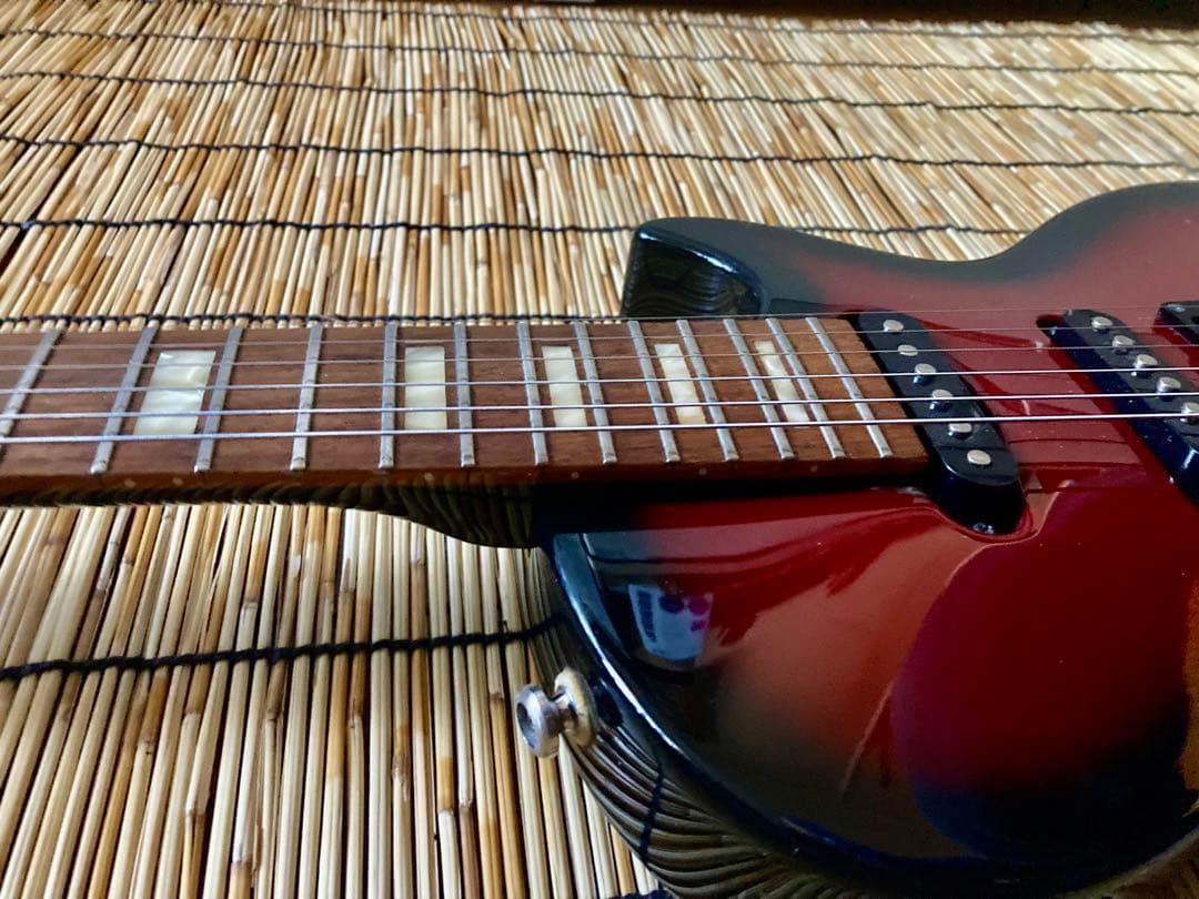 ☆ねこ☆ GrassRoots G-I-48LP 唯一無二の改造ギター