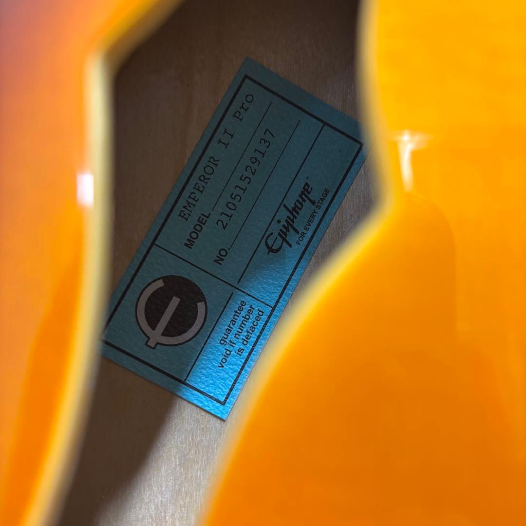 ギター epiphone emperor ii pro JOE PASS