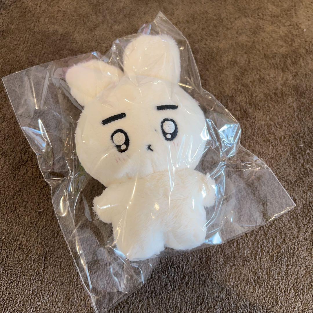 enhypen ソンフン　10cm ぬいぐるみ　新品　マスター