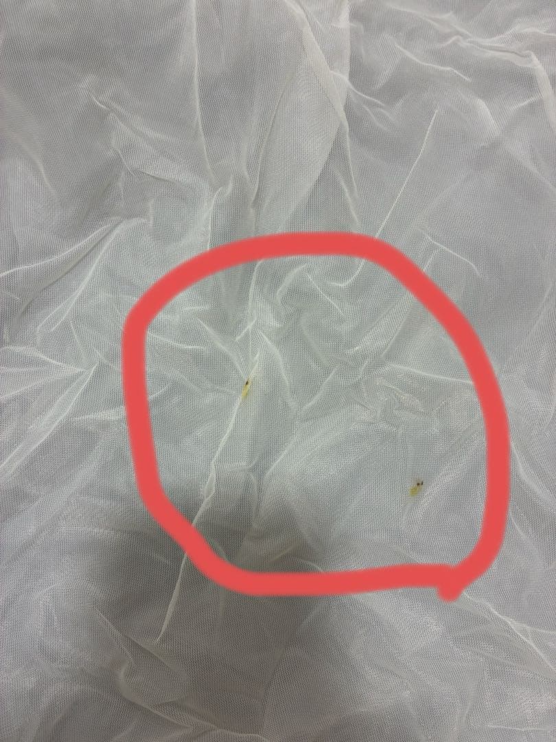 mont-bell Chronos Dome 2 グランドシート付き