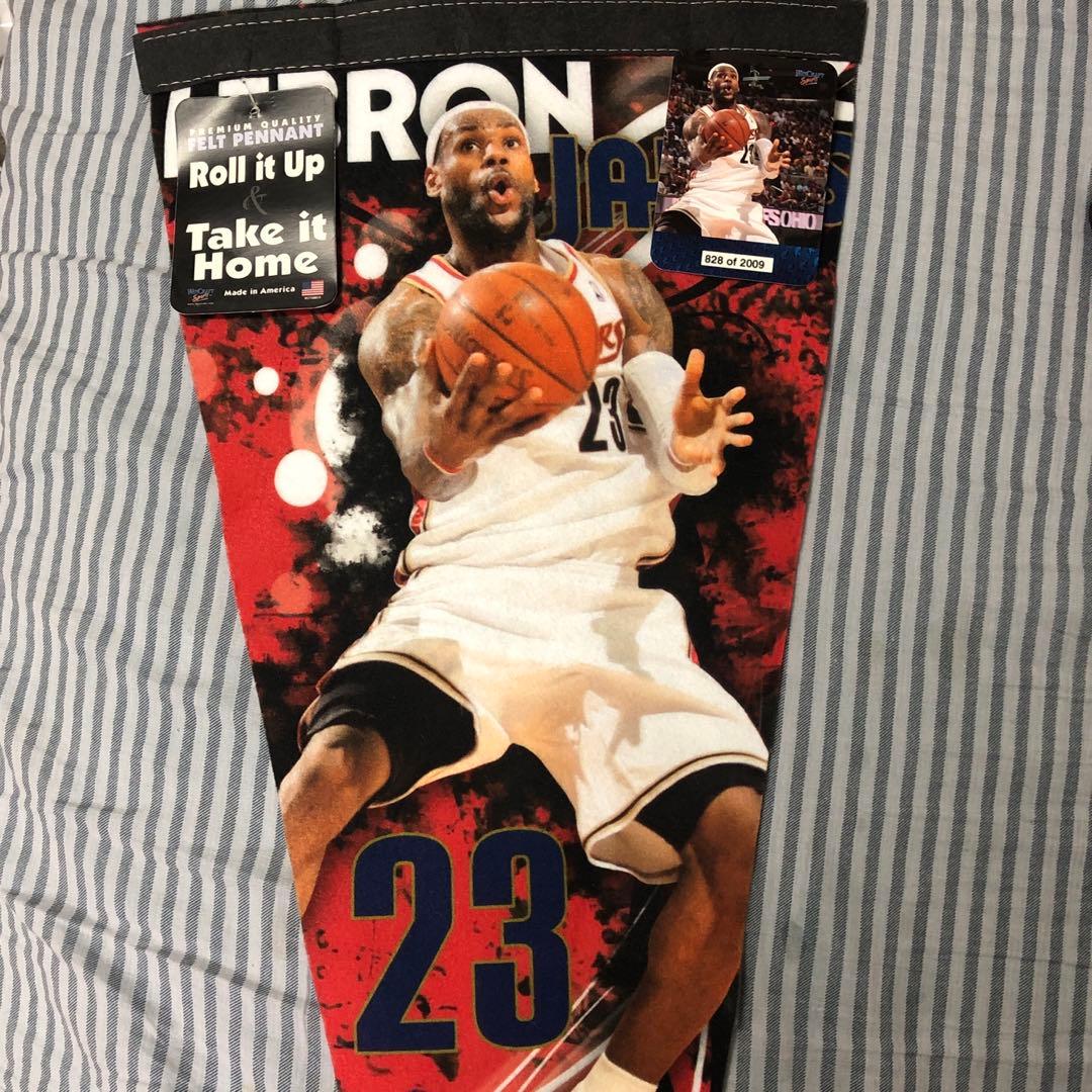 NBA LeBron James タペストリー