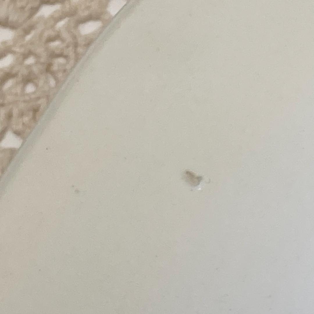 ⭐️フランスアンティーク サルグミンヌ バルボティーヌ 大皿 30cm